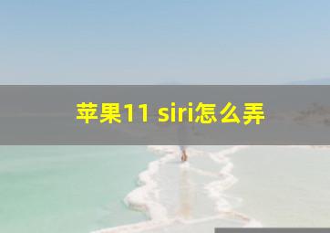 苹果11 siri怎么弄